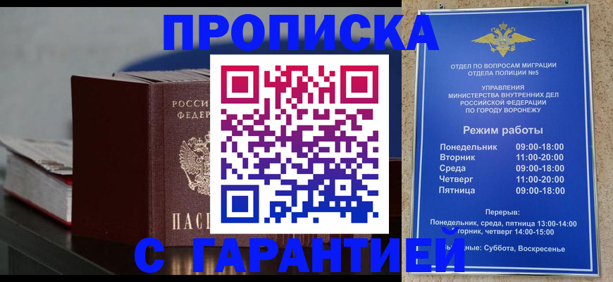 найти адрес прописки в Новодвинске